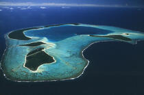 Tetiaora, Polynésie française. © Philip Plisson / Pêcheur d’Images / AA06442 - Photo Galleries - Sea floor