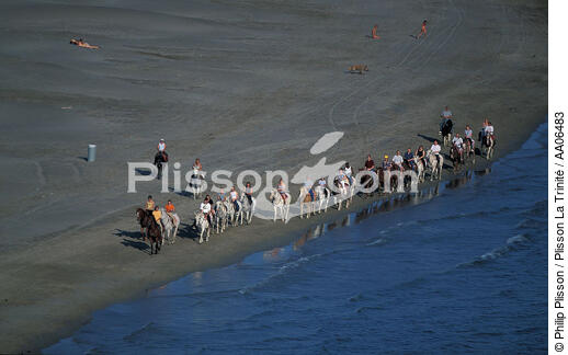 Promenade équestre en bord de mer - © Philip Plisson / Plisson La Trinité / AA06483 - Nos reportages photos - Randonnée équestre