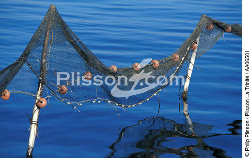 Filet de pêche sur la côte méditerranée. - © Philip Plisson / Plisson La Trinité / AA06501 - Nos reportages photos - Materiel de pêche