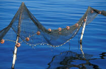 Filet de pêche sur la côte méditerranée. © Philip Plisson / Plisson La Trinité / AA06501 - Nos reportages photos - Pêche