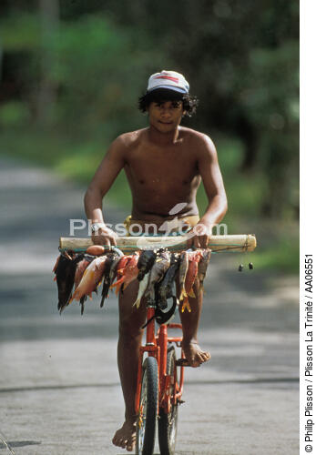 Retour de pêche en Polynésie française. - © Philip Plisson / Plisson La Trinité / AA06551 - Photo Galleries - Non-nautical sports