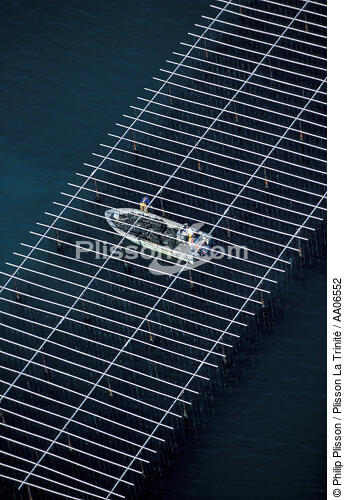 Aquaculture dans le Golfe de Fos-sur-mer. - © Philip Plisson / Plisson La Trinité / AA06552 - Photo Galleries - Mussel bed