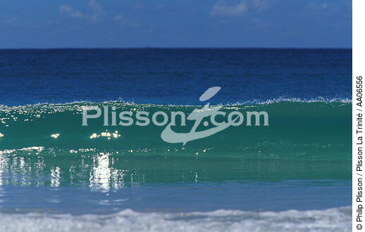 Transparence de l'eau à la Martinique. - © Philip Plisson / Plisson La Trinité / AA06556 - Photo Galleries - Good weather