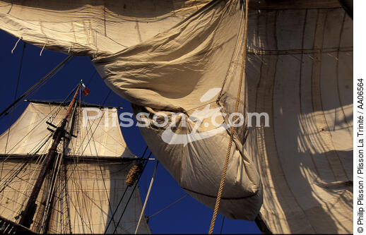 Carguer la toile. - © Philip Plisson / Plisson La Trinité / AA06564 - Photo Galleries - Three masts