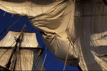 Carguer la toile. © Philip Plisson / Plisson La Trinité / AA06564 - Photo Galleries - Three masts
