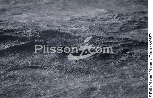 Oiseau mazouté. - © Philip Plisson / Plisson La Trinité / AA06574 - Nos reportages photos - Faune et Flore