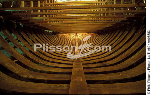 L'Hermione en construction. - © Philip Plisson / Plisson La Trinité / AA06583 - Photo Galleries - Boat and shipbuilding