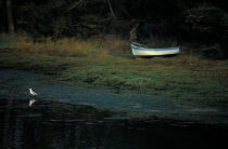 Rive de l'Odet. © Philip Plisson / Plisson La Trinité / AA06695 - Photo Galleries - Small boat