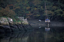 L'Odet en automne. © Philip Plisson / Plisson La Trinité / AA06697 - Nos reportages photos - Hydrologie