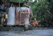Thaïlande. © Philip Plisson / Plisson La Trinité / AA06726 - Nos reportages photos - Rivière