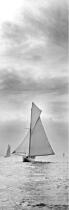 Altaïr à la Nioulargue. © Philip Plisson / Plisson La Trinité / AA06752 - Photo Galleries - Classic Yachting