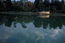 Epave sur l'Odet. © Philip Plisson / Plisson La Trinité / AA06772 - Photo Galleries - Boat graveyard