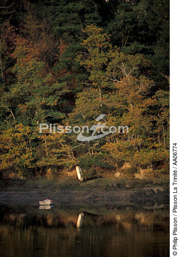 Couleurs d'automne sur l'Odet. - © Philip Plisson / Plisson La Trinité / AA06774 - Nos reportages photos - Faune et Flore