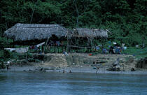 Village d'indiens waraos sur les rives de l'Orénoque. © Philip Plisson / Plisson La Trinité / AA06810 - Nos reportages photos - Fleuve