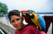 Enfant aux perroquets. © Philip Plisson / Plisson La Trinité / AA06820 - Nos reportages photos - Faune