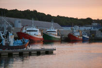 Le port de pêche de Concarneau. © Philip Plisson / Plisson La Trinité / AA06828 - Nos reportages photos - Pêche