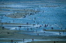 Bain de foule sur la plage de Ouistreham. © Philip Plisson / Plisson La Trinité / AA06861 - Photo Galleries - Town [14]