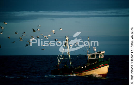 Retour de pêche en Baie de Quiberon. - © Philip Plisson / Plisson La Trinité / AA06876 - Nos reportages photos - Chalutier
