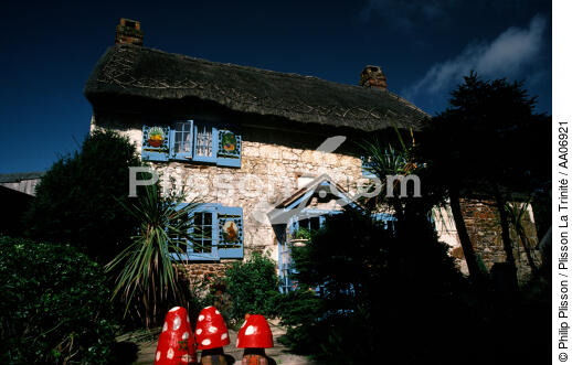 Maison typique sur l'île de Wight. - © Philip Plisson / Plisson La Trinité / AA06921 - Nos reportages photos - Toit