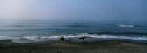 Surfer sur les côtes japonnaises. © Philip Plisson / Plisson La Trinité / AA06953 - Photo Galleries - Wave