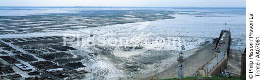 La baie de Cancale à marée basse. - © Philip Plisson / Plisson La Trinité / AA07061 - Photo Galleries - Cancale