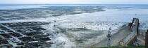 La baie de Cancale à marée basse. © Philip Plisson / Plisson La Trinité / AA07061 - Photo Galleries - Oyster bed