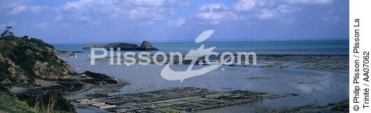 Le rocher de Cancale. - © Philip Plisson / Plisson La Trinité / AA07062 - Photo Galleries - Oyster farming