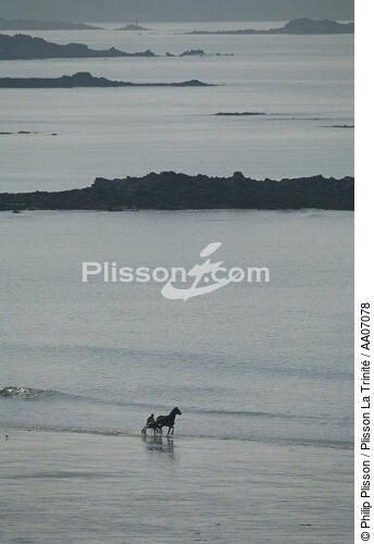 Promenade à cheval sur la grande plage du Sillon. - © Philip Plisson / Plisson La Trinité / AA07078 - Nos reportages photos - Ville [35]