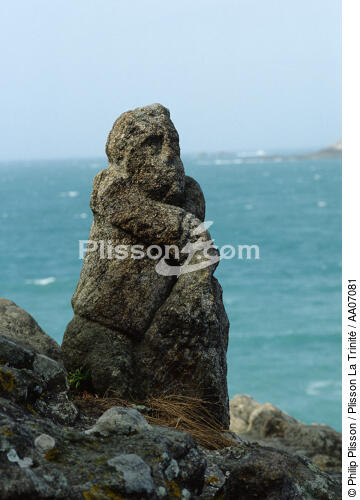 Sculpture à Rothéneuf. - © Philip Plisson / Plisson La Trinité / AA07081 - Nos reportages photos - Rocher