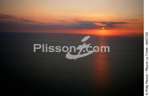 Départ pour la pêche à la sardine au coucher de soleil. - © Philip Plisson / Plisson La Trinité / AA07103 - Nos reportages photos - Chalutier