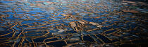 Les marais salants de Guérande. © Philip Plisson / Plisson La Trinité / AA07125 - Photo Galleries - Salt marshes