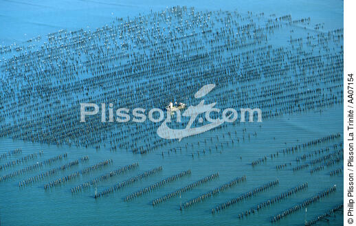 Parc à moules à Vivier-sur-mer. - © Philip Plisson / Plisson La Trinité / AA07154 - Nos reportages photos - Conchyliculture