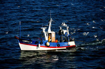 Caseyeur sur la côte de Loire Atlantique. © Philip Plisson / Pêcheur d’Images / AA07201 - Photo Galleries - Lobster pot fishing boat