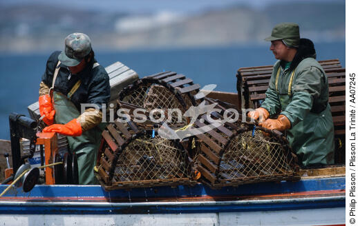 Pêcheurs de homards. - © Philip Plisson / Plisson La Trinité / AA07245 - Nos reportages photos - Iles de la Madeleine [les]