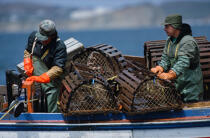 Pêcheurs de homards. © Philip Plisson / Plisson La Trinité / AA07245 - Nos reportages photos - Province [Canada]