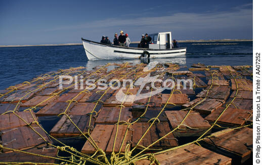 Lobsters Fishing. - © Philip Plisson / Plisson La Trinité / AA07252 - Photo Galleries - Island [Quebec]