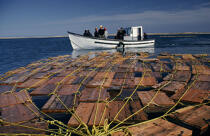 Pêche aux homards. © Philip Plisson / Plisson La Trinité / AA07252 - Nos reportages photos - Iles de la Madeleine [les]