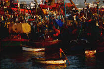 Le port de pêche d'Essaouira. © Philip Plisson / Plisson La Trinité / AA07307 - Nos reportages photos - Port