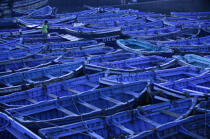Canots de pêche à Essaouira. © Philip Plisson / Plisson La Trinité / AA07308 - Nos reportages photos - Bateau à rames