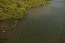 Scène de pêche dans l'archipel des San-Blas au large des côtes du Panama © Philip Plisson / Plisson La Trinité / AA07719 - Nos reportages photos - Activité maritime