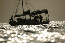 Scène de pêche en Grèce. © Philip Plisson / Plisson La Trinité / AA07865 - Nos reportages photos - Activité maritime