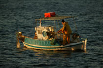 Pêche cotière sur les côtes grecques. © Philip Plisson / Plisson La Trinité / AA07878 - Nos reportages photos - Pêcheur