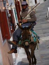 Santorin dans les Cyclades. © Philip Plisson / Plisson La Trinité / AA07894 - Photo Galleries - Donkey