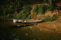 Pirogues sur les rives du canal de Panama. © Philip Plisson / Plisson La Trinité / AA07985 - Photo Galleries - Canal