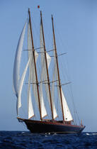 Le trois mâts goélette Créole. © Philip Plisson / Plisson La Trinité / AA08044 - Photo Galleries - Tall ships