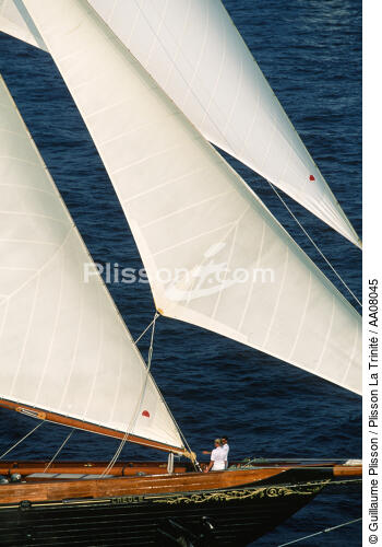Le trois mâts goélette Créole. - © Guillaume Plisson / Plisson La Trinité / AA08045 - Photo Galleries - Three masts