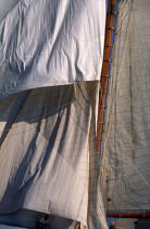 Pendant la Nioulargue. © Guillaume Plisson / Plisson La Trinité / AA08054 - Photo Galleries - Classic Yachting