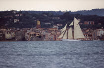 Saint-Tropez pendant la Nioulargue. © Philip Plisson / Plisson La Trinité / AA08057 - Photo Galleries - Classic Yachting