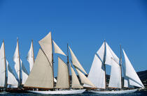 Nioulargue. © Philip Plisson / Plisson La Trinité / AA08061 - Photo Galleries - Classic Yachting