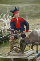 Costume traditionnel au Cap Nord. © Philip Plisson / Plisson La Trinité / AA08211 - Photo Galleries - Reindeer